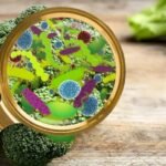 Kannur Food Poisoning Shock