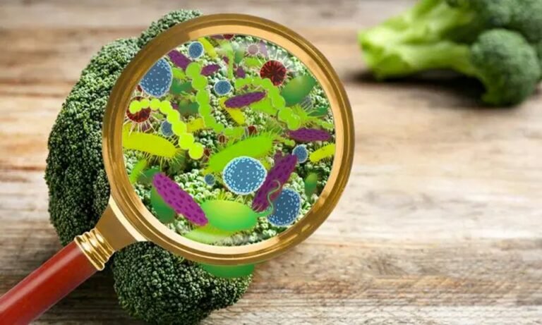 Kannur Food Poisoning Shock