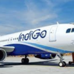 Willie Walsh Named IndiGo CEO