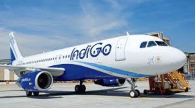 Willie Walsh Named IndiGo CEO