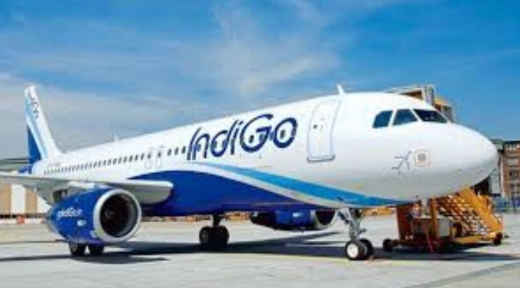 Willie Walsh Named IndiGo CEO