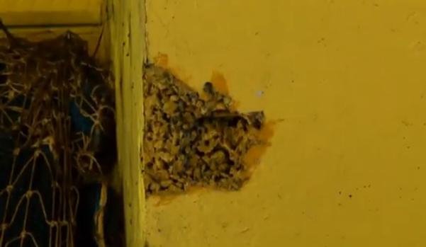 Concrete Fall at Elamkulam Metro