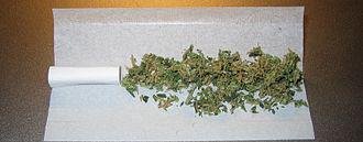 Kochi Ganja Bust Shocks