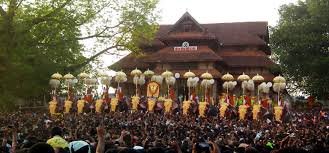 Thrissur Pooram festival ground with elephants and reduced celebrations due to safety restrictions in Kerala