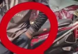 Man in Malappuram treated after being bitten by snake he carried in his pocket