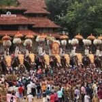 Elephants lined up for Thrissur Pooram under hot sun with concern over animal safety and court case