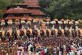 Elephants lined up for Thrissur Pooram under hot sun with concern over animal safety and court case