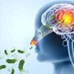 Health warning sign near contaminated water highlighting risk of amoebic meningitis during summer