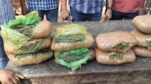 RPF officers seize 60 kg ganja from abandoned bags at Ernakulam South railway station