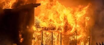 Fire breakout in Palakkad near animal hospital with plastic waste burning and smoke spreading