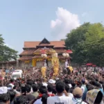 Massive crowd at Thrissur Pooram festival watching decorated elephant Thechikkottukavu Ramachandran