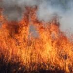 Fire and rescue teams responding to firework explosion at Mundathikode near Thrissur Pooram preparation site