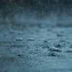 Heavy rain and wind damage in Ernakulam with fallen trees and flood water