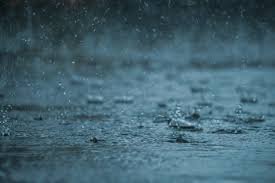 Heavy rain and wind damage in Ernakulam with fallen trees and flood water