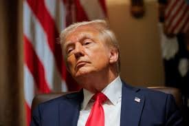 US customs refund process showing businesses applying for tax return portal CAPE