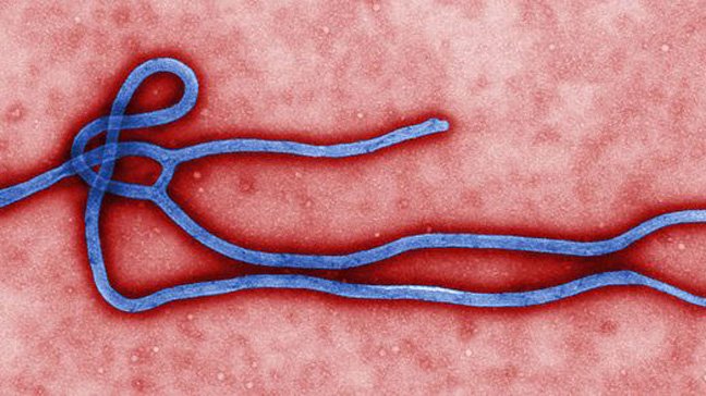 Ebola airport screening at Kerala international airports