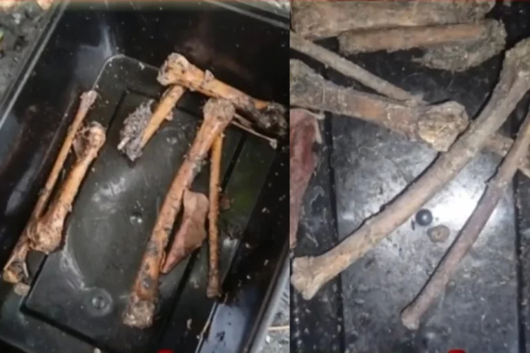 Police inspecting a well where bones were found in a plastic bag in Kerala