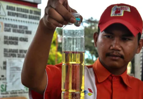 Palm oil plantation and biodiesel production process representing renewable fuel development