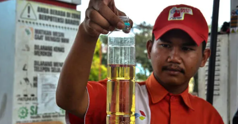 Palm oil plantation and biodiesel production process representing renewable fuel development