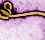 Uganda Ebola check at Bengaluru airport
