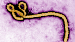 Uganda Ebola check at Bengaluru airport