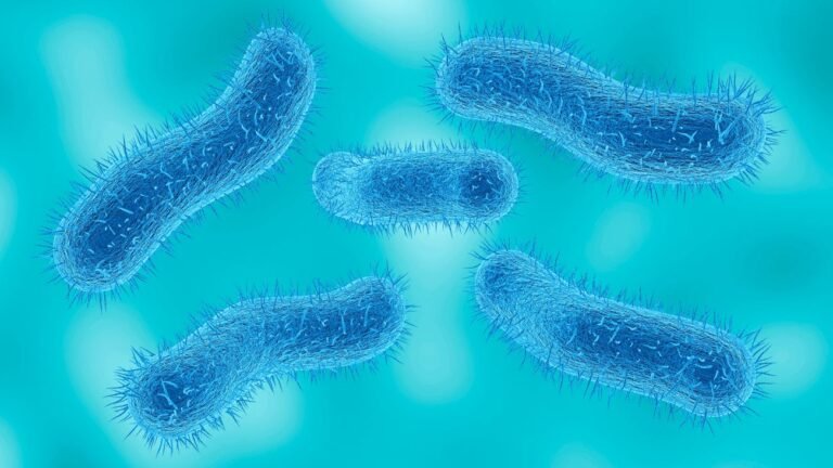 Perumanna Shigella cases reported in Kozhikode