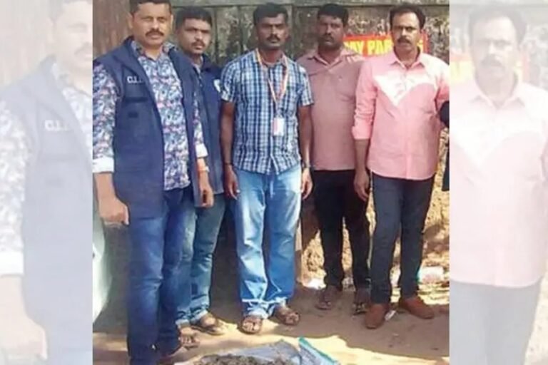 Forest officials seize pangolin scales from accused smugglers