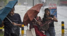 Kozhikode Rain Damage with fallen trees after heavy rainfall