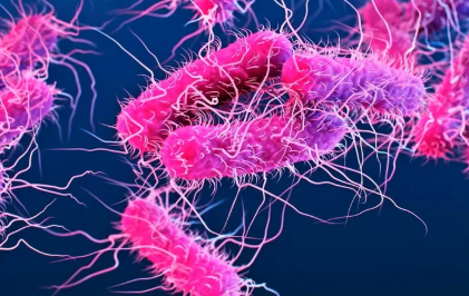 Wayanad Shigella Outbreak health department monitoring infected children and prevention measures