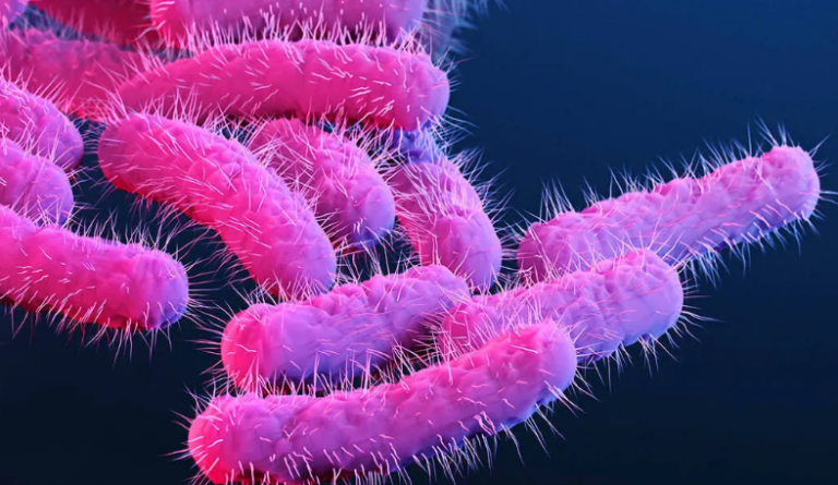 Shigella Outbreak Kerala health alert