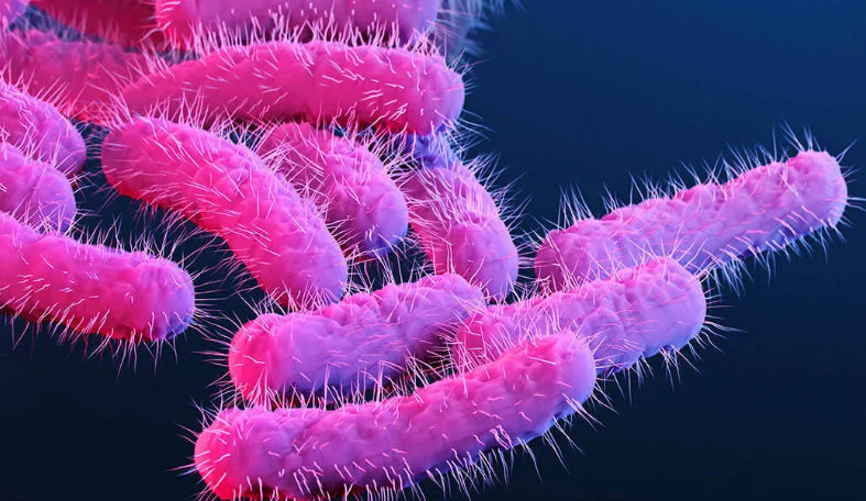 Shigella Outbreak Kerala health alert