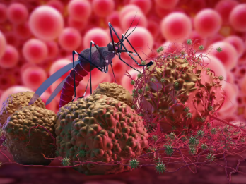 Malaria Alert Kozhikode after malaria case reported in Valayam migrant worker