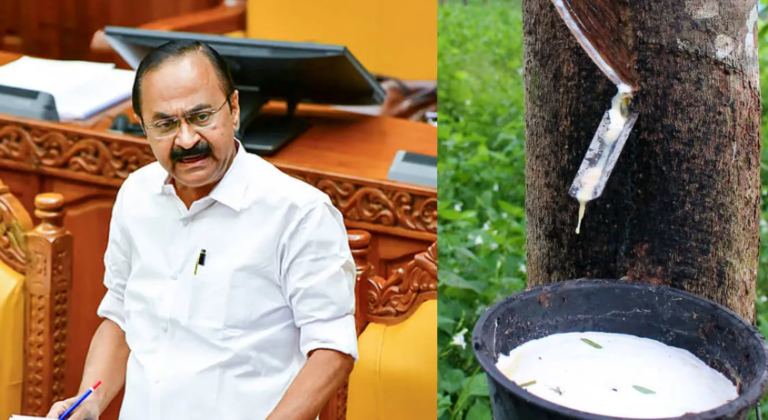 Rubber Support Price increased to 250 rupees for Kerala rubber farmers in Budget 2026