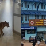 Hospital Stray Dog Attack at Kanhangad District Hospital involving a patient bystander on the third floor