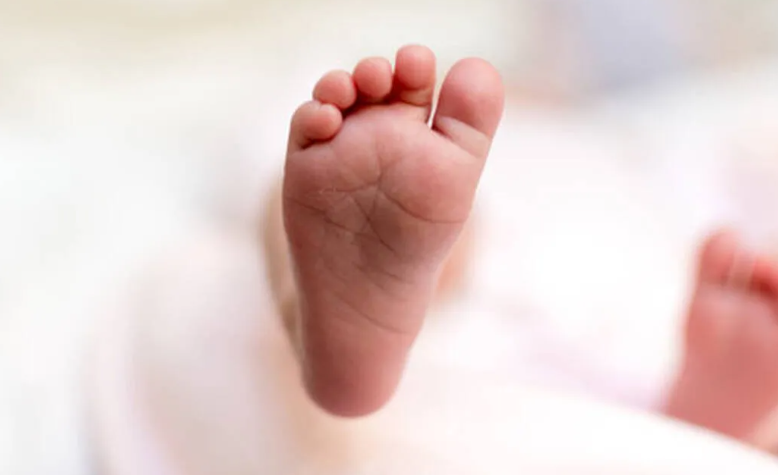 Abandoned Baby Kochi newborn rescued near Forum Mall and moved to Ammathottil