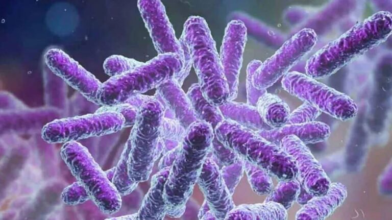 Shigella Outbreak Kerala health alert