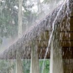 Kerala Rain Alert with yellow alert issued in eight districts due to strong monsoon conditions