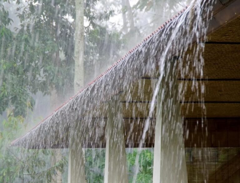 Kerala Rain Alert with yellow alert issued in eight districts due to strong monsoon conditions