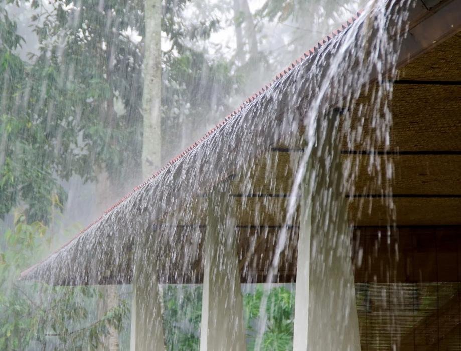 Kerala Rain Alert with yellow alert issued in eight districts due to strong monsoon conditions