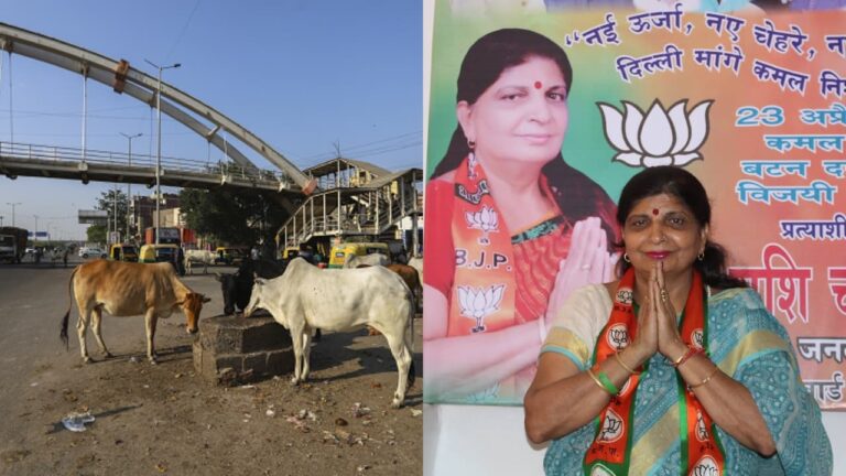 Stray Cattle Attack on BJP councillor Preeti Gupta in Delhi captured on CCTV