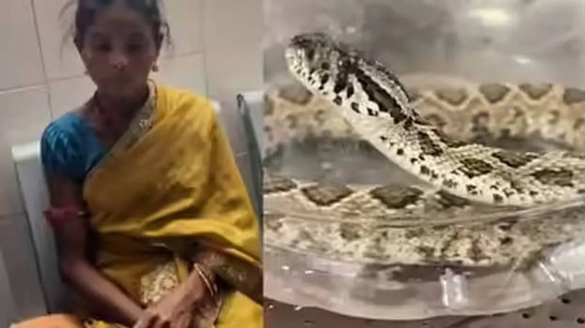Snake Bite Identification case where woman carried live viper to hospital for treatment
