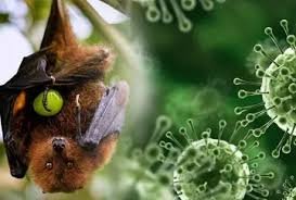Nipah Patient Update from Kozhikode Medical College isolation ward
