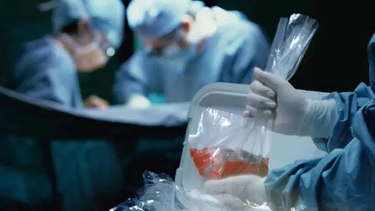 Organ Trafficking Case ED raid investigation