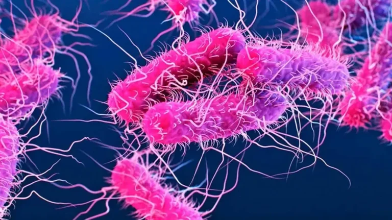 Shigella Juice Contamination detected in juice samples from Kattakada bakery
