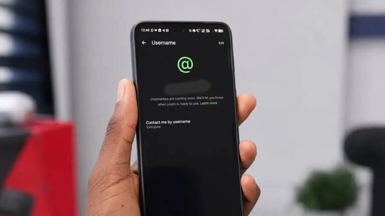 WhatsApp Username Feature discussion between Meta and India's IT Ministry