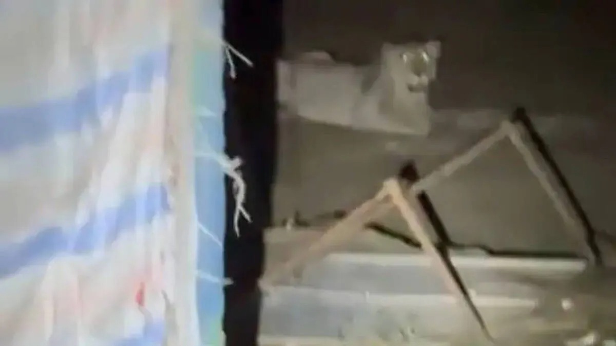 Girnar Lion Attack at Gujarat pilgrimage hills with forest department response