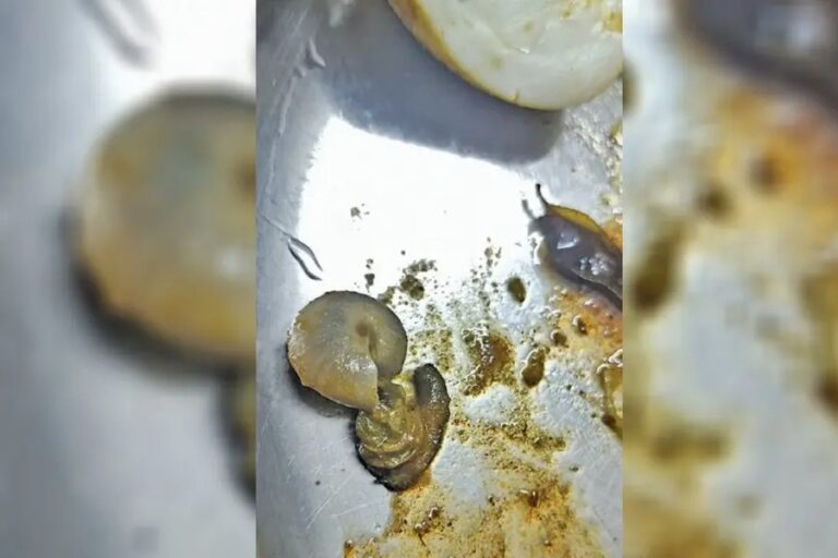 Hotel Hygiene Issue investigation at Paravur restaurant after food safety complaint