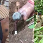 Soman Medical Aid for Kerala police volunteer undergoing treatment after infection