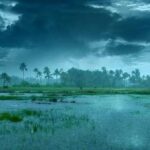 Kerala Rain Alert with yellow alert and heavy rain forecast in six districts