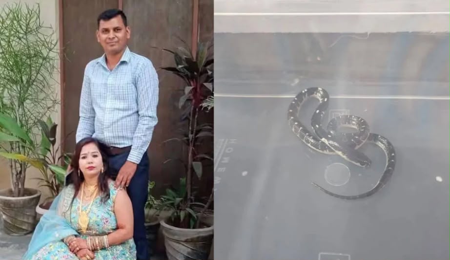 Snake Bite Murder Case investigation in Meerut involving insurance fraud and murder allegations